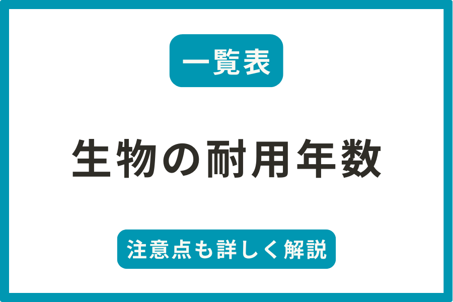 【一覧表】生物の耐用年数